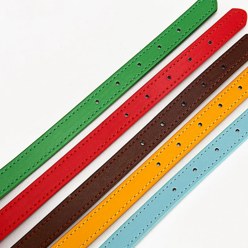Close-up of genuine leather dog collar with sturdy buckle, ideal for pet walking