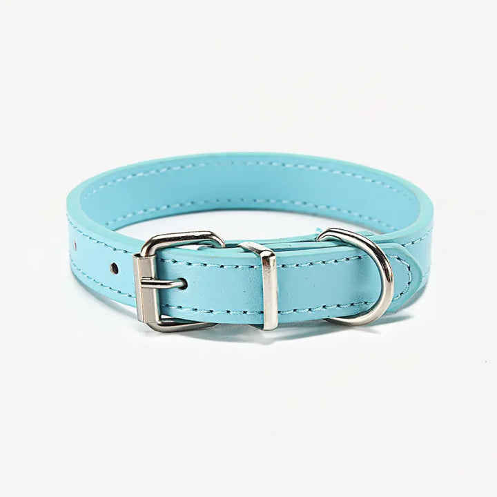 Colorful genuine leather dog collar, robust and adjustable for small and medium pets