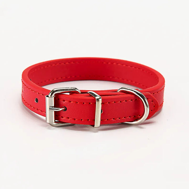 Adjustable genuine leather dog collar shown on a small dog, comfortable and durable