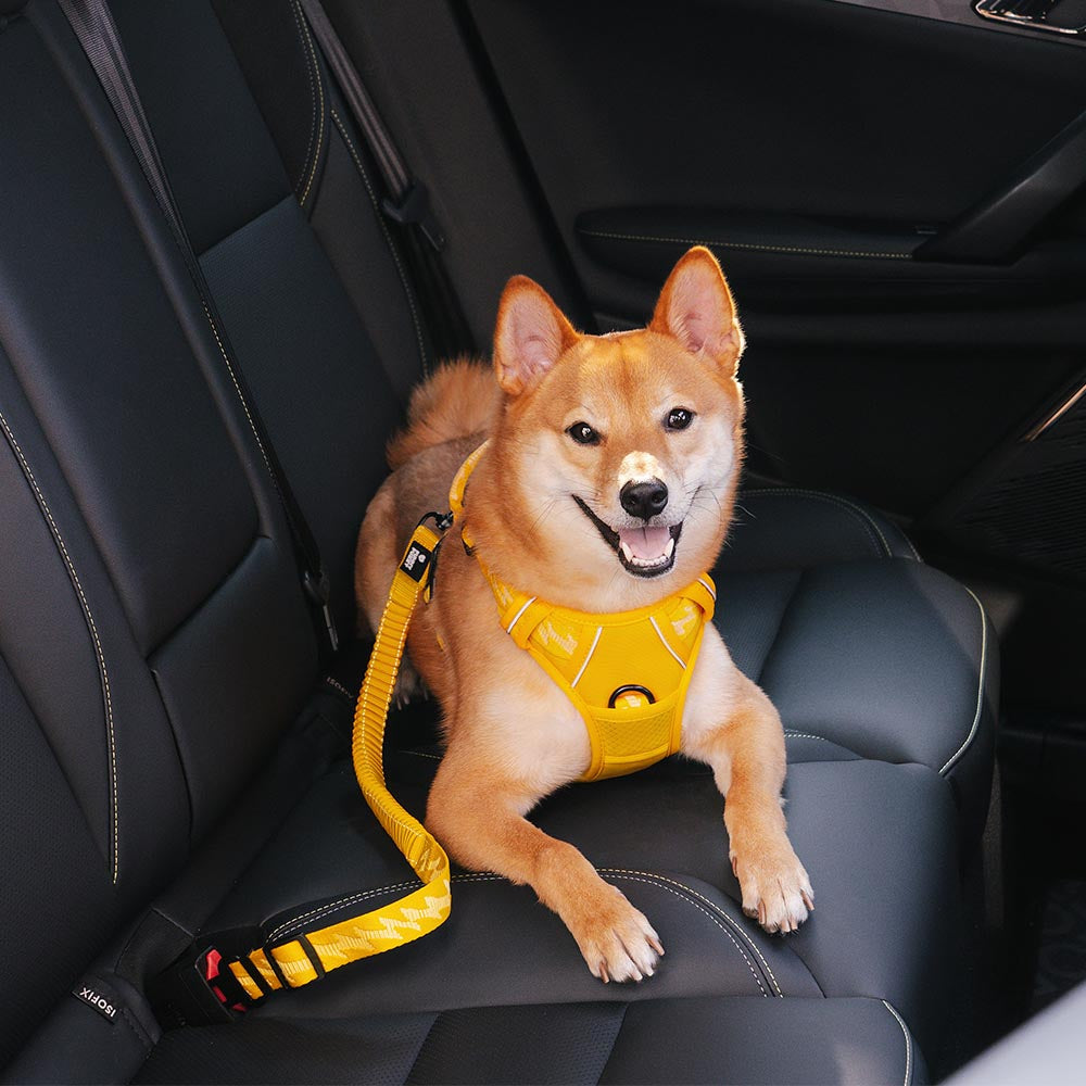 Dog adjustable reflective car seat belt & harness set for pet travel safety