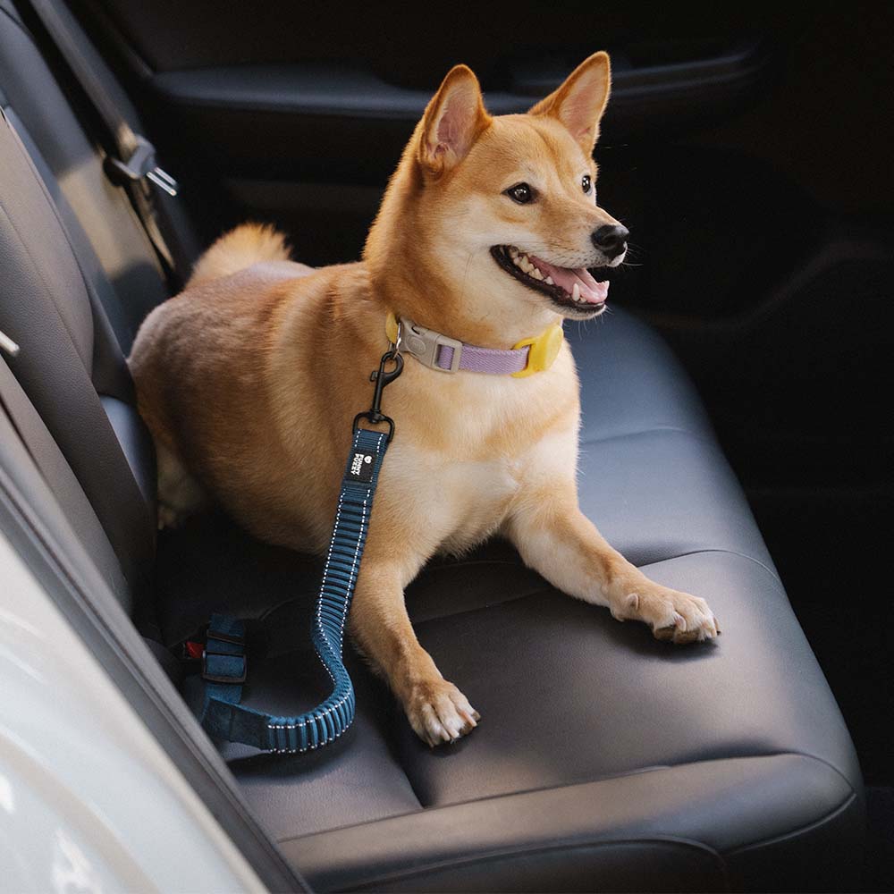 Black adjustable reflective dog car seat belt & harness set