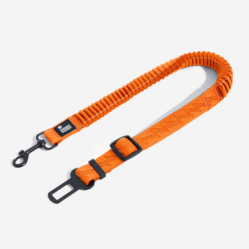 Dog car seat belt attached to a reflective, adjustable dog harness