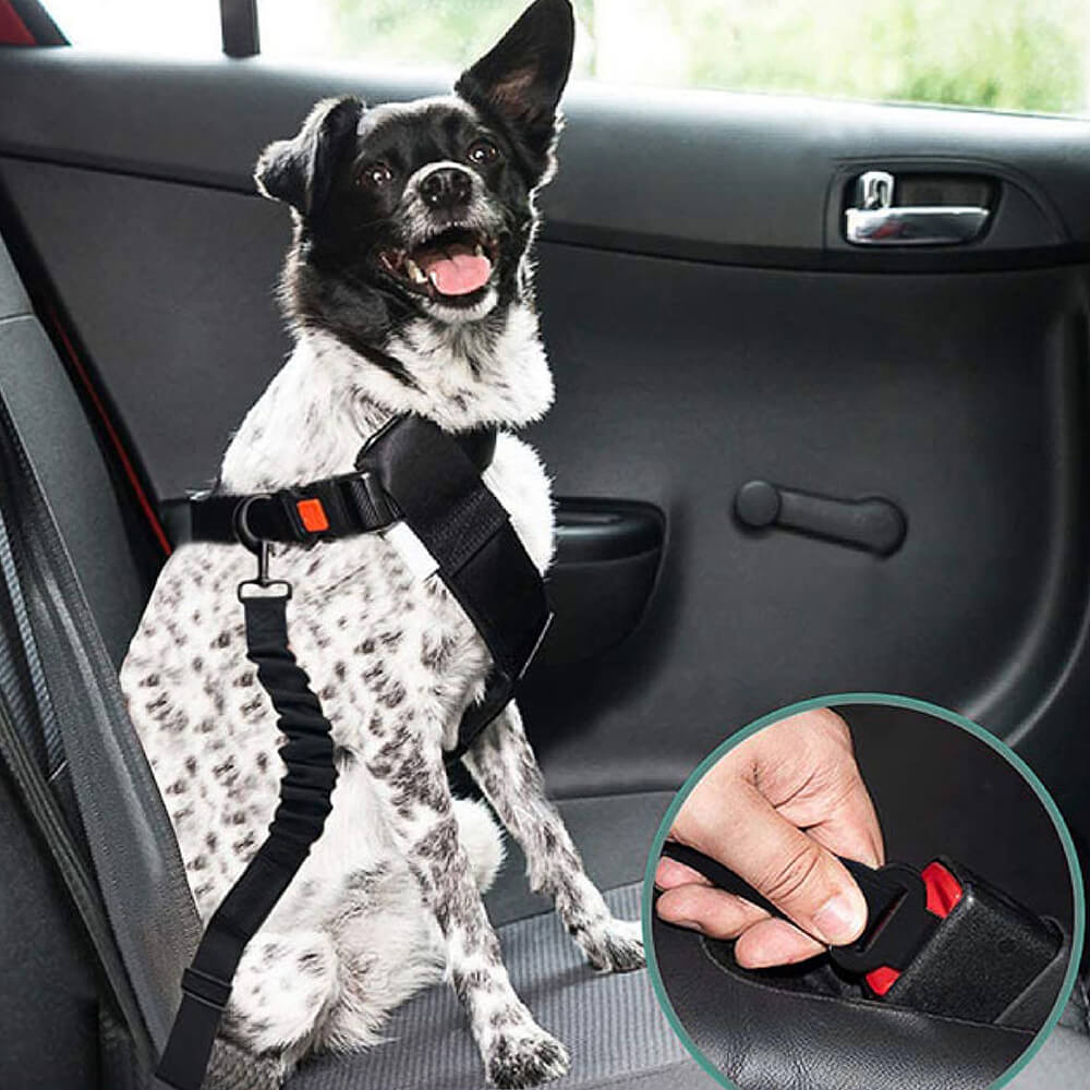 Adjustable car seat belt for dogs, paired with a reflective harness