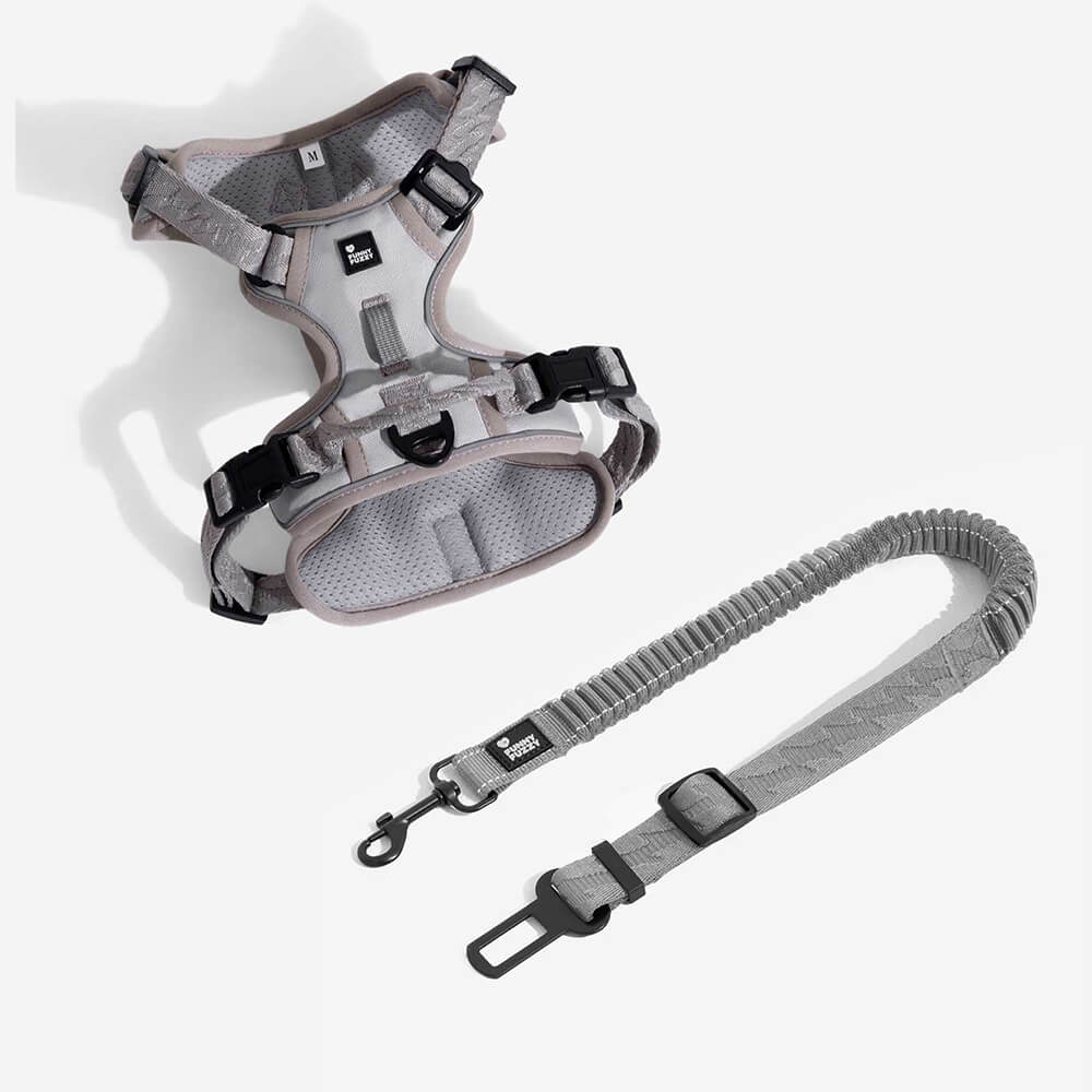 Adjustable dog car seat belt & reflective harness for secure & visible travel
