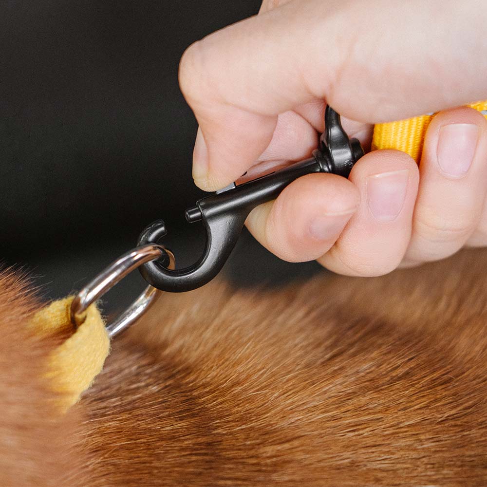 Adjustable dog harness & seat belt designed for pet anxiety relief in cars