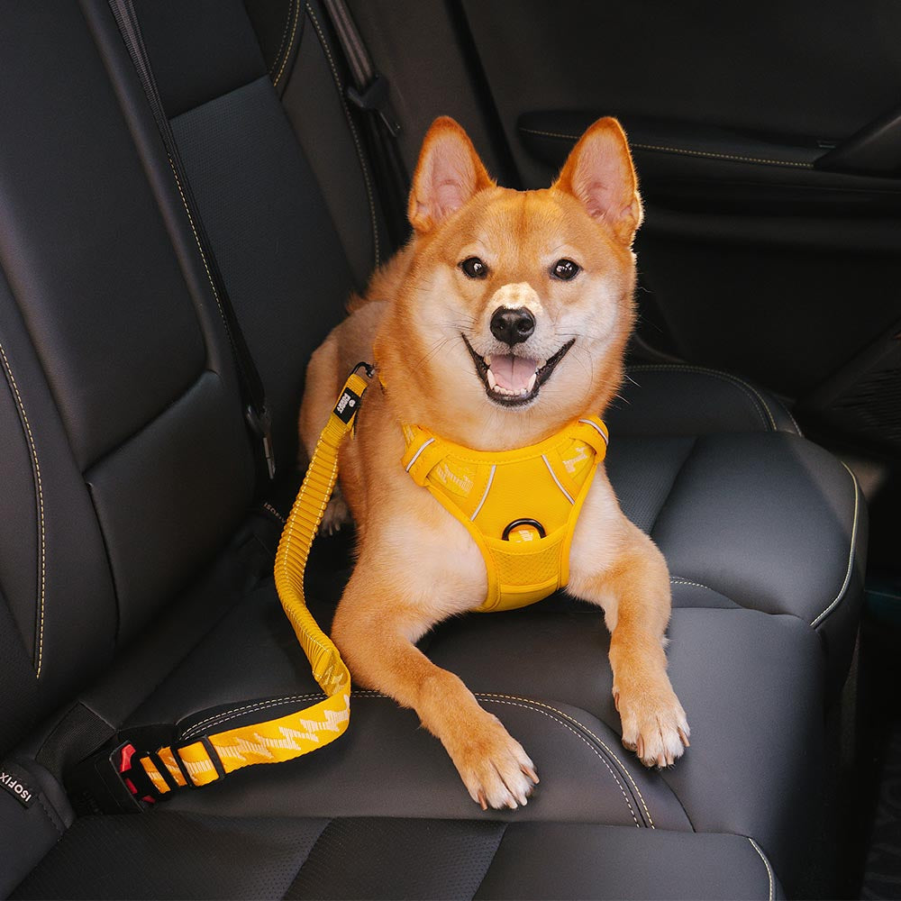 Pet travel safety kit: reflective dog harness & car seat belt