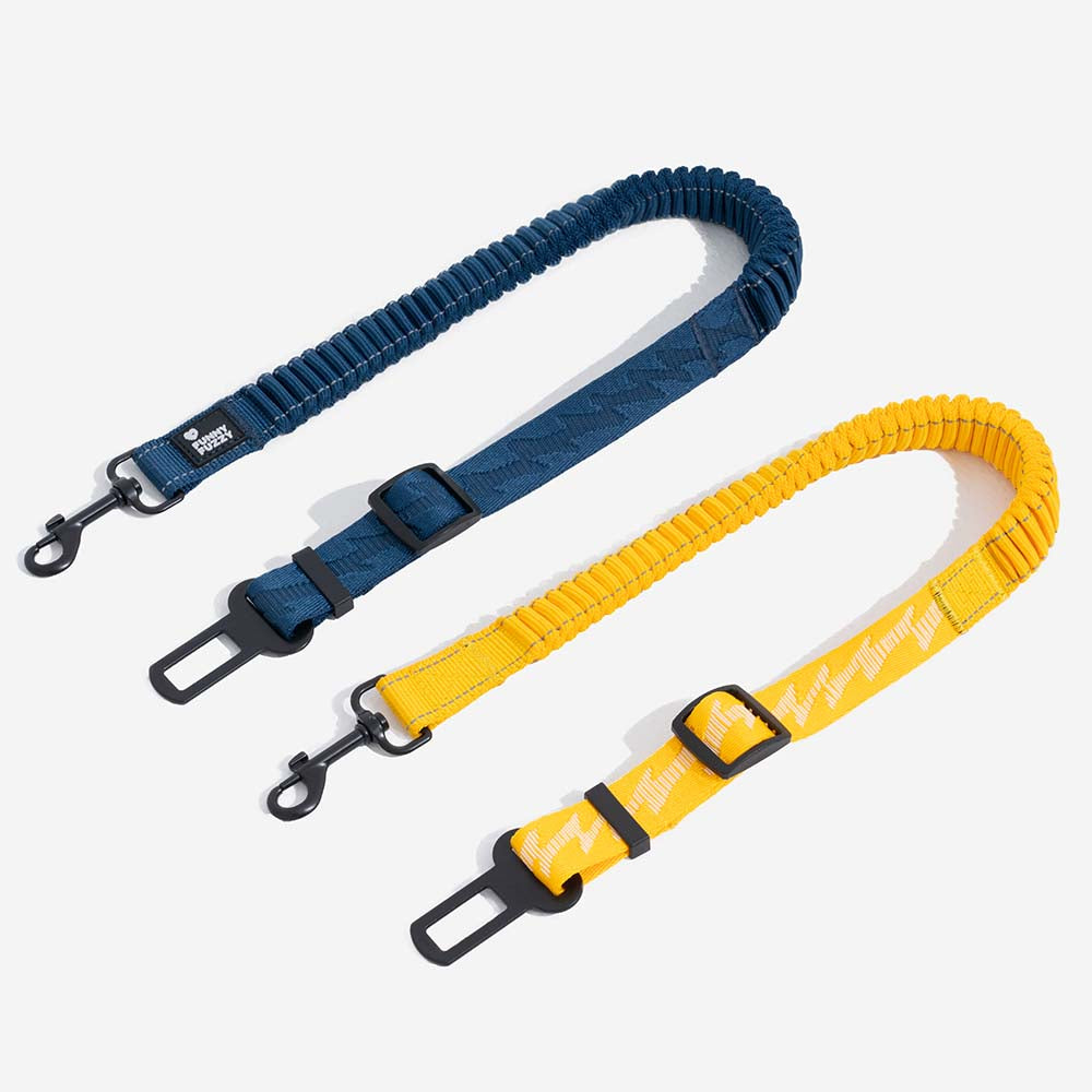 Secure dog harness & seat belt combo for pet safety during car rides