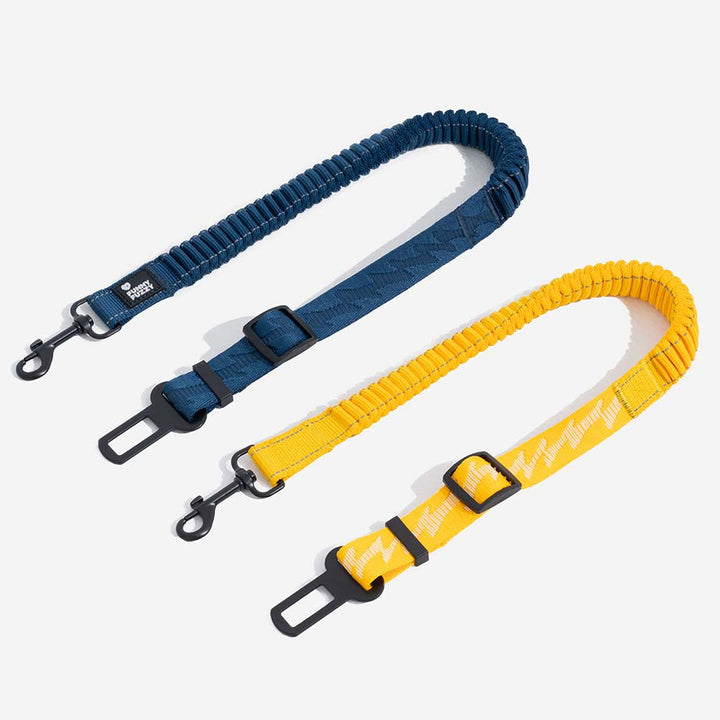 Secure dog harness & seat belt combo for pet safety during car rides