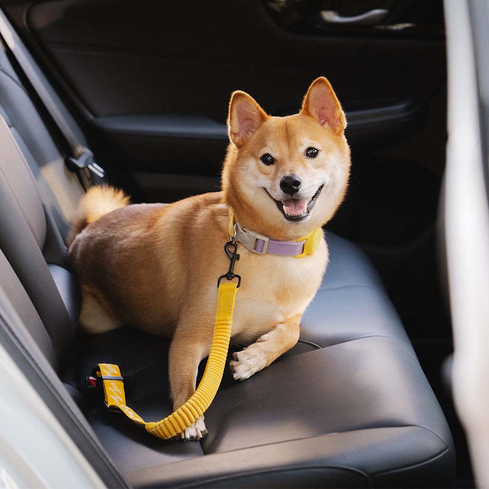 Reflective dog car accessory: adjustable harness & seat belt set
