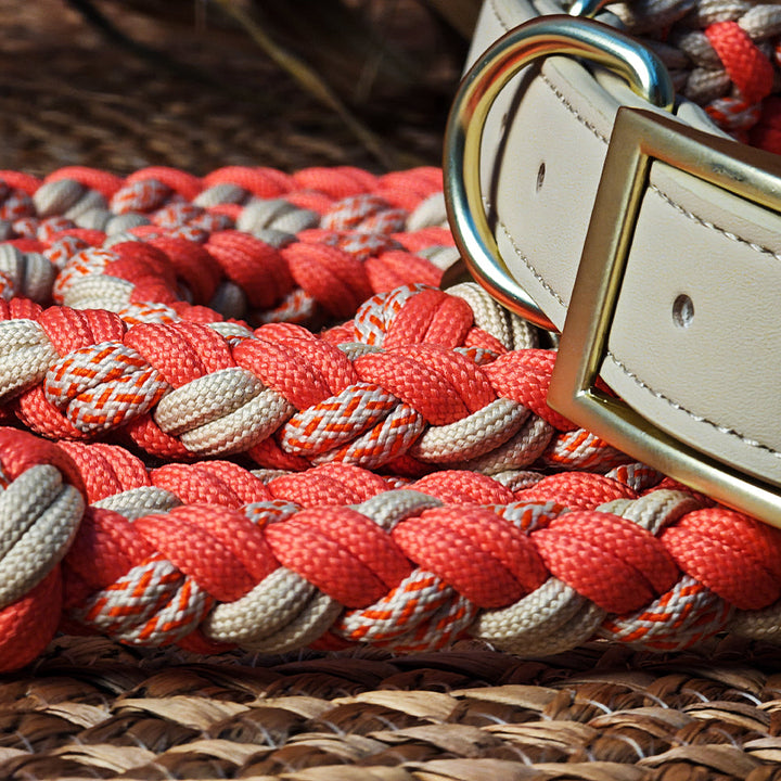 Dog collar and leash set featuring a hand-woven hemp rope design and anti-pull technology, a stylish pet accessory