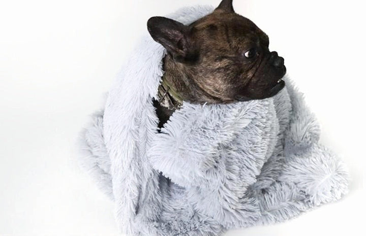 Pet throw blanket for anxiety, durable vegan fur, machine washable for lasting comfort
