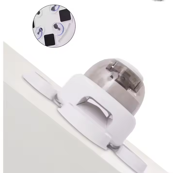 Transparent dog auto feeder, a modern pet supply for accurate food dispensing and simple refills