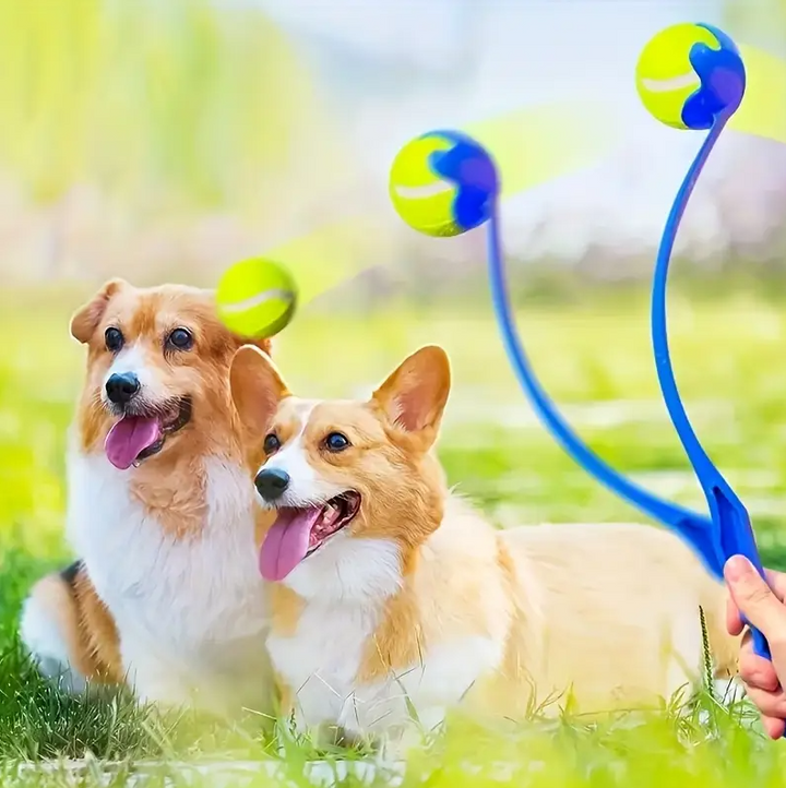 Collection of dog ball launchers and tennis balls for pet supplies and active dog play.