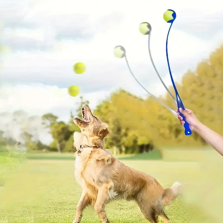 Happy dog retrieving a ball launched by a long throw dog ball launcher fetch toy.