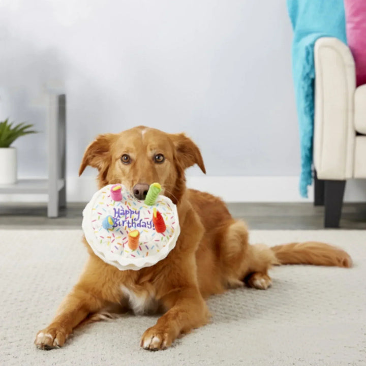 Interactive dog toy set: Plush birthday cake, cupcake, and squeaky bone for dog playtime