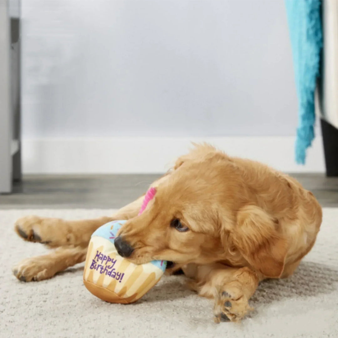Cute plush birthday cake dog toy with colorful frosting and 'Happy Birthday' embroidery