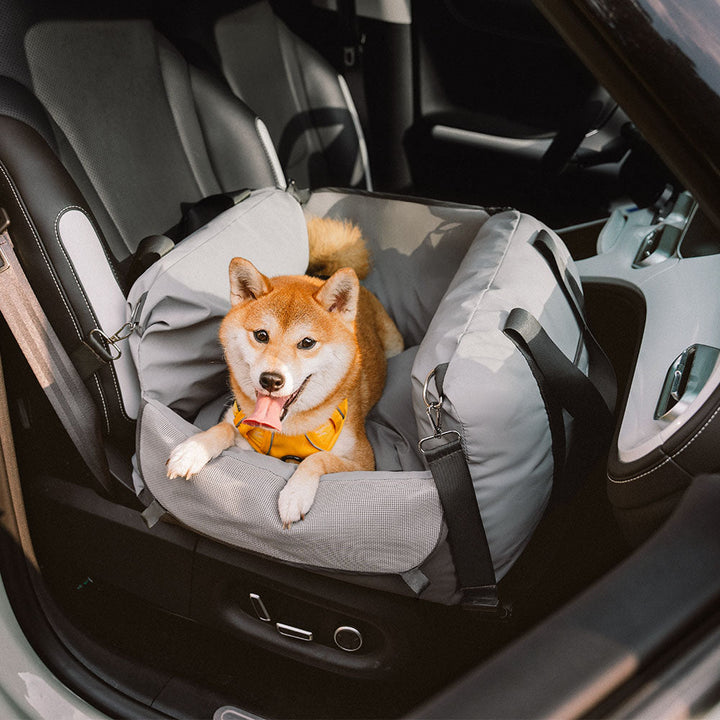 Small dog car seat with a safety tether, ensuring pet security during vehicle travel