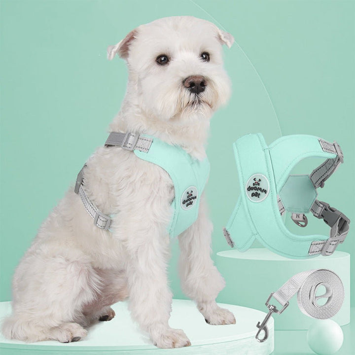 Comfort dog harness with breathable mesh and durable leash, an essential pet accessory for daily strolls