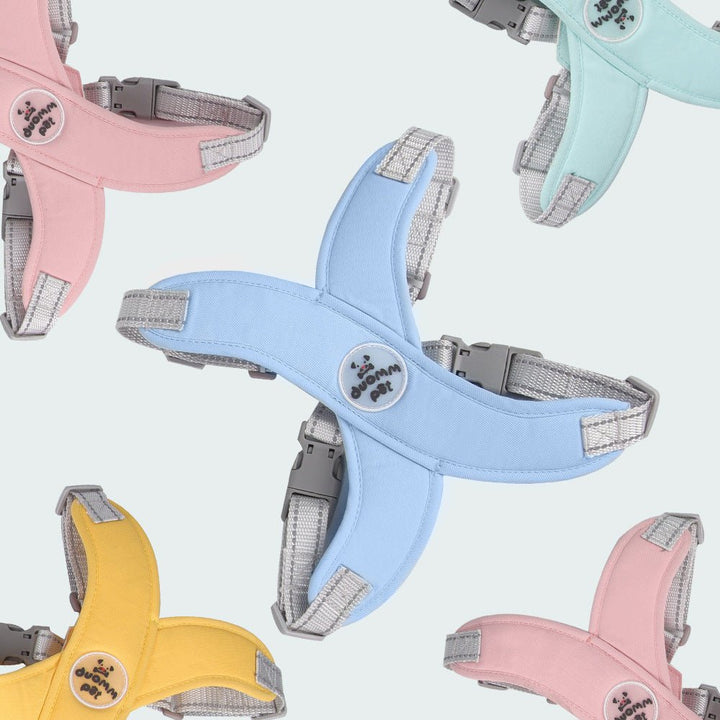 Outdoor gear for dogs: breathable crossed harness and leash set, ensuring pet comfort and secure adventures