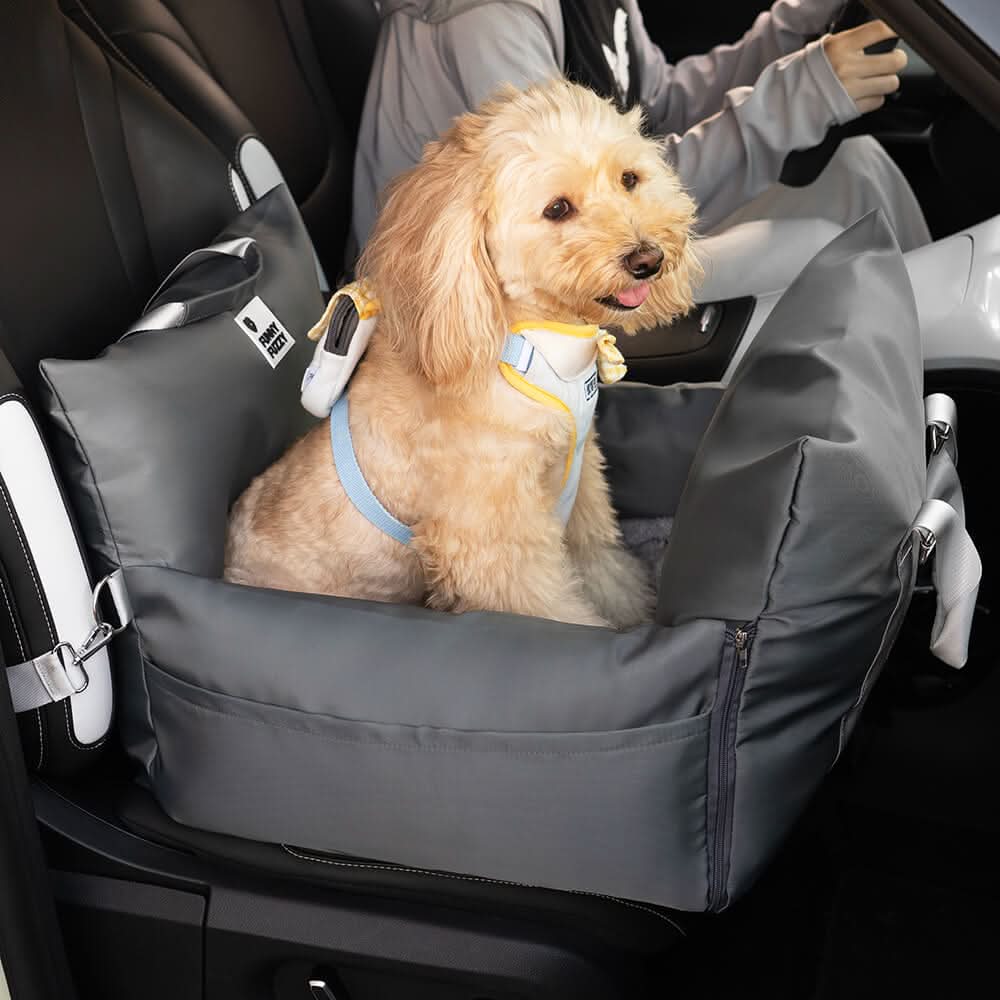 Installed dog car booster seat with safety belt, providing a secure spot for your pet.