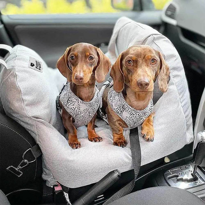 Secure pet booster seat for car travel, featuring a safety belt and non-slip base for dogs.