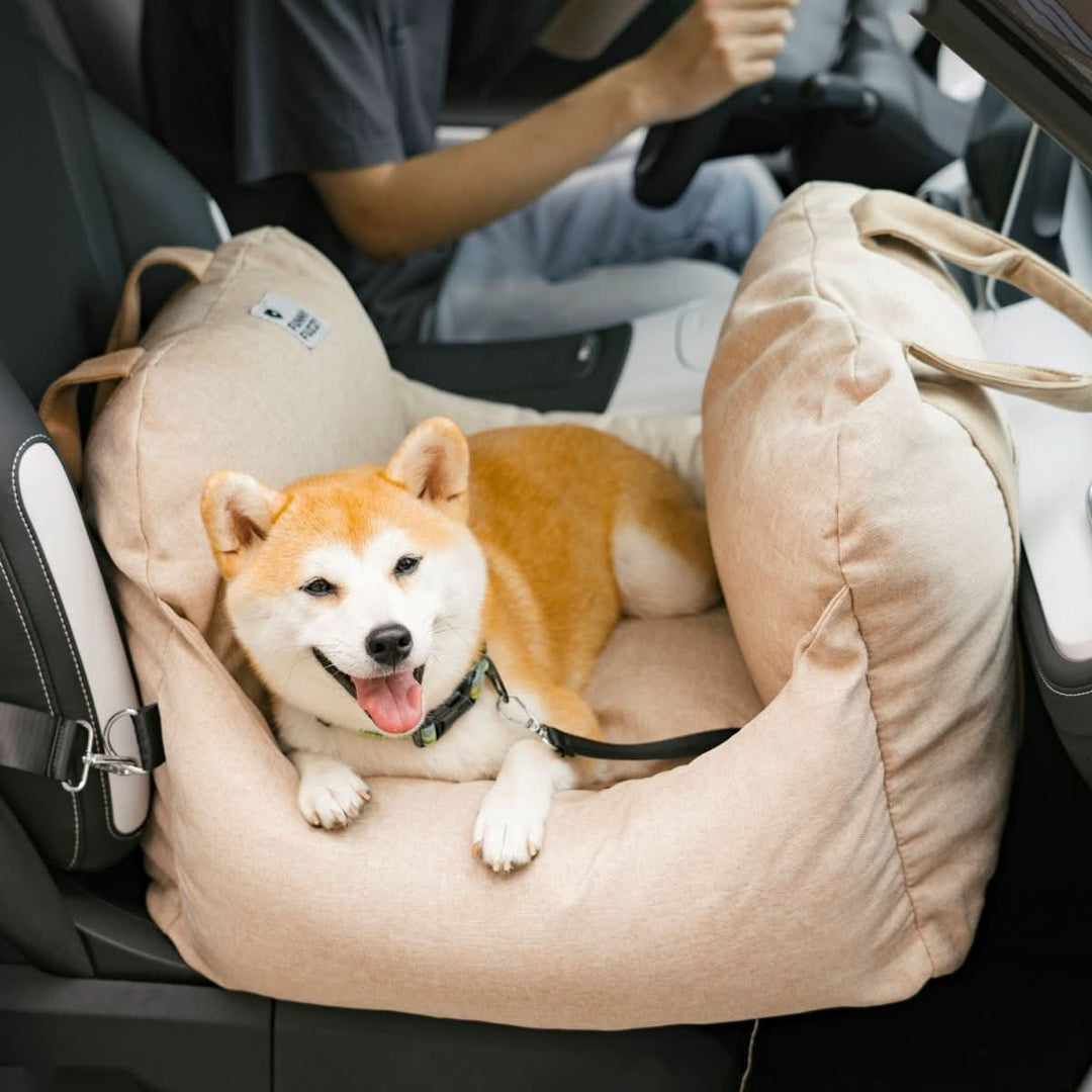 Easy-to-clean dog car seat, pet booster with a non-slip base and essential safety belt.