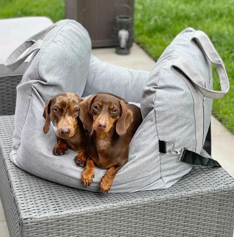 Comfortable pet travel bed & car seat for dogs, featuring a safety belt and non-slip base.