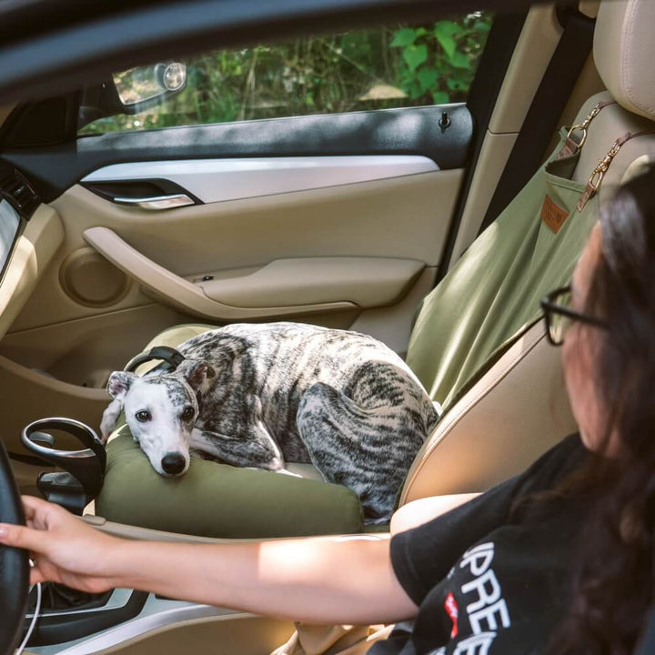Adjustable dog car seat bolster, pet safety belt for secure car journeys
