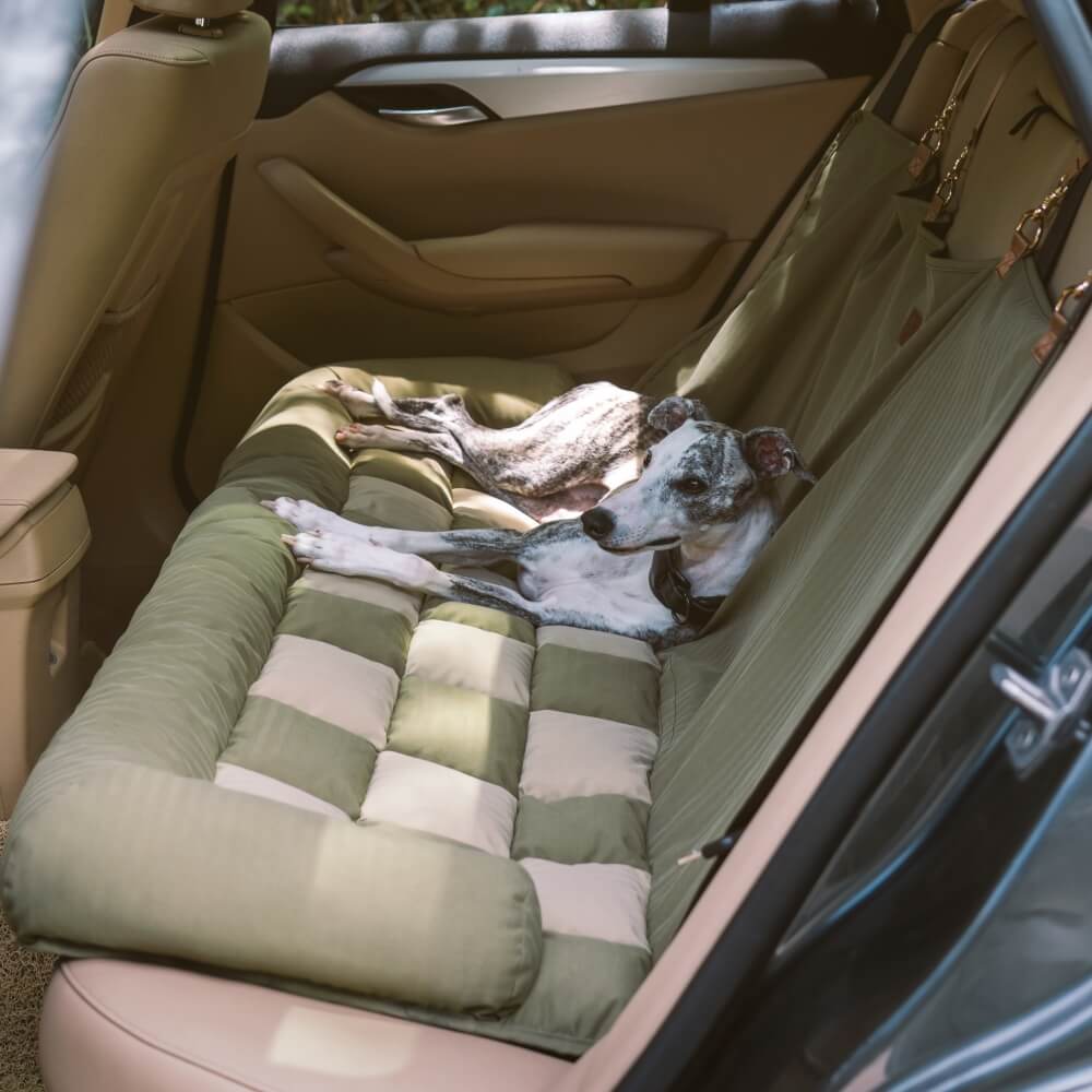 Washable dog car bed with safety features, keeps back seat clean & pet secure