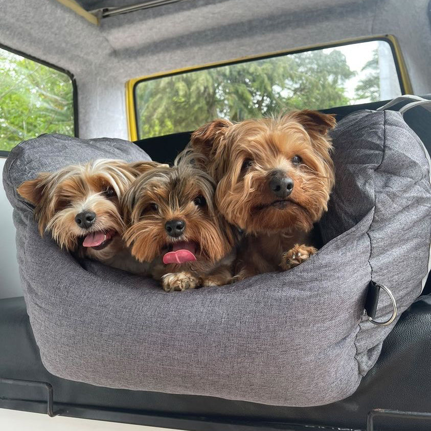 Portable pet car seat booster, lightweight, easy to install and remove for travel.