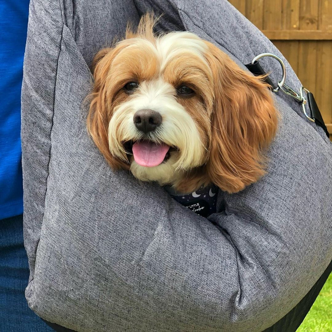 Washable pet booster bed for cars, ensures hygiene and comfort for dog travel.