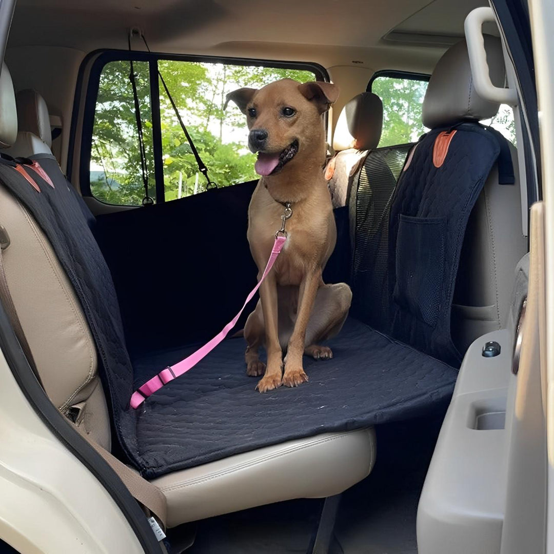 Dog travel gear: full car seat cover with door shields for a clean, pet-friendly ride. Essential vehicle protection.