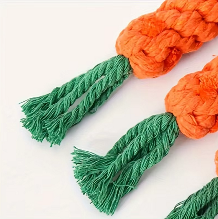 Close-up of a dog carrot dental chew toy; a cotton rope accessory for animal oral health.