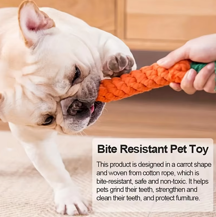 Dog chew toy: a pet supply accessory shaped like a carrot, designed for dental cleaning & play.