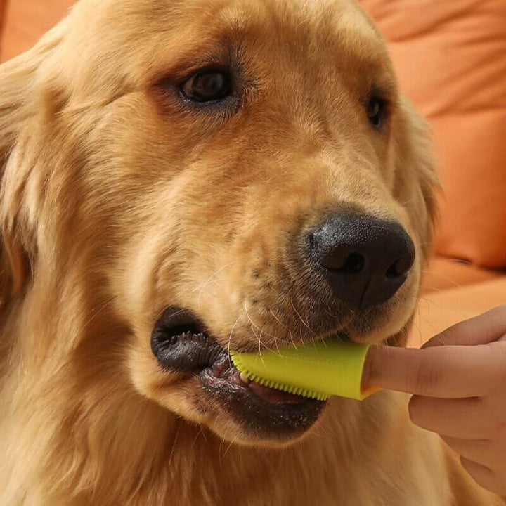 Ergonomically designed finger toothbrush, perfect for pet grooming and dog & cat teeth cleaning