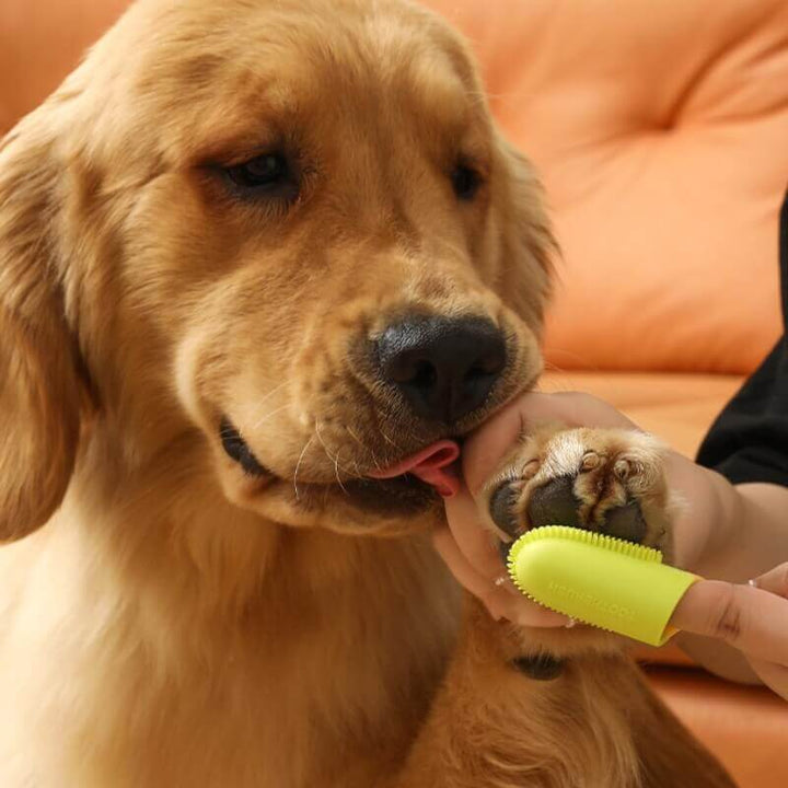 Dog & cat finger toothbrush, a key pet supply for maintaining fresh breath and clean teeth