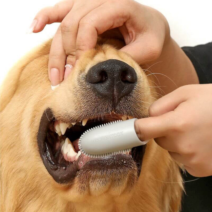 Pet dental hygiene finger brush, perfect for dog & cat teeth cleaning, gentle & effective oral care