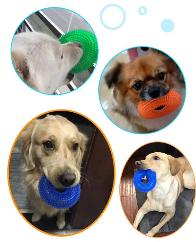 Durable dog chew ring, ideal for teething puppies, promoting healthy teeth and gums