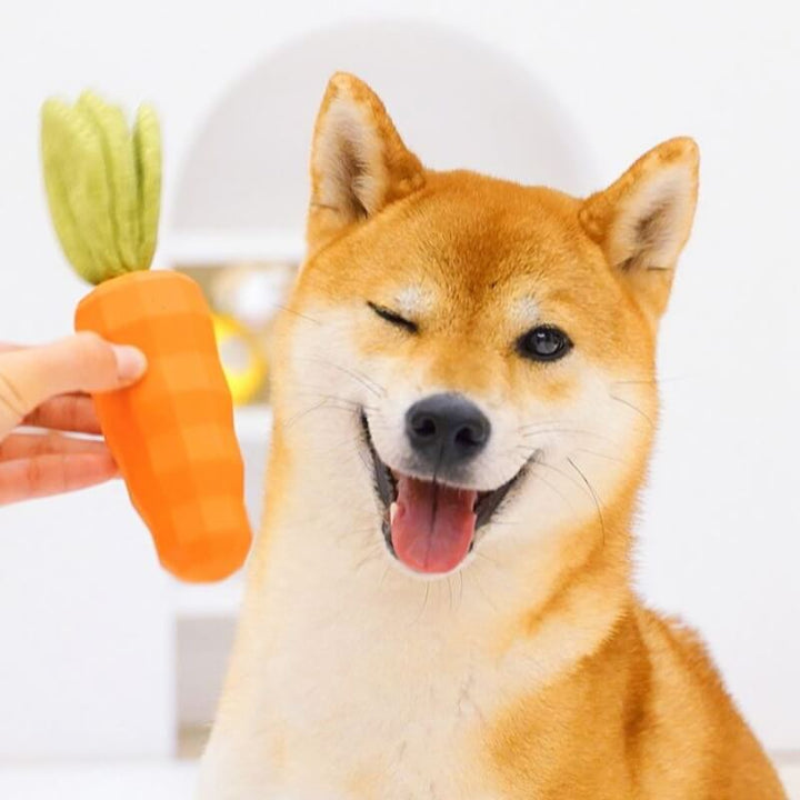 Detailed view of the squeaker inside a dog dental chew carrot toy, showing quality.