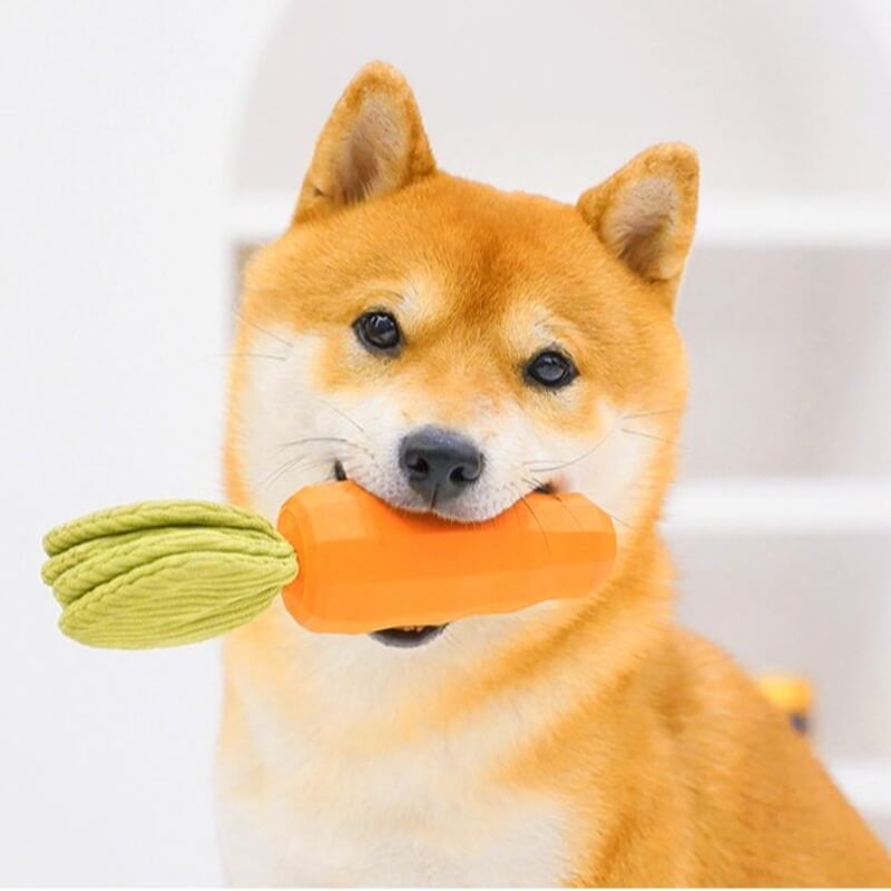 Cute dog playing enthusiastically with a durable rubber carrot dental chew toy.