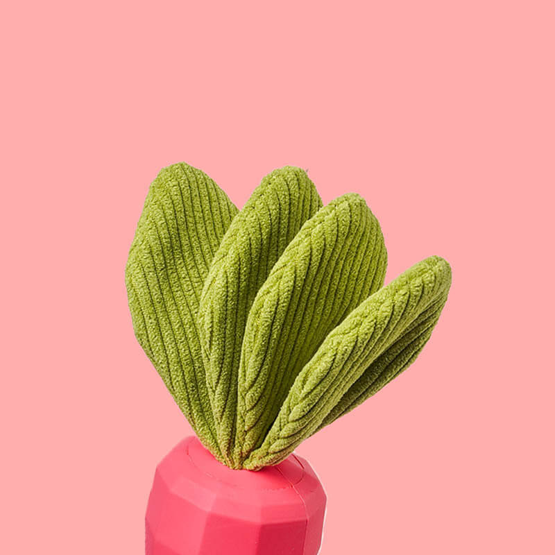 Dog dental chew squeaky carrot toy, specifically designed for interactive play and teeth cleaning.