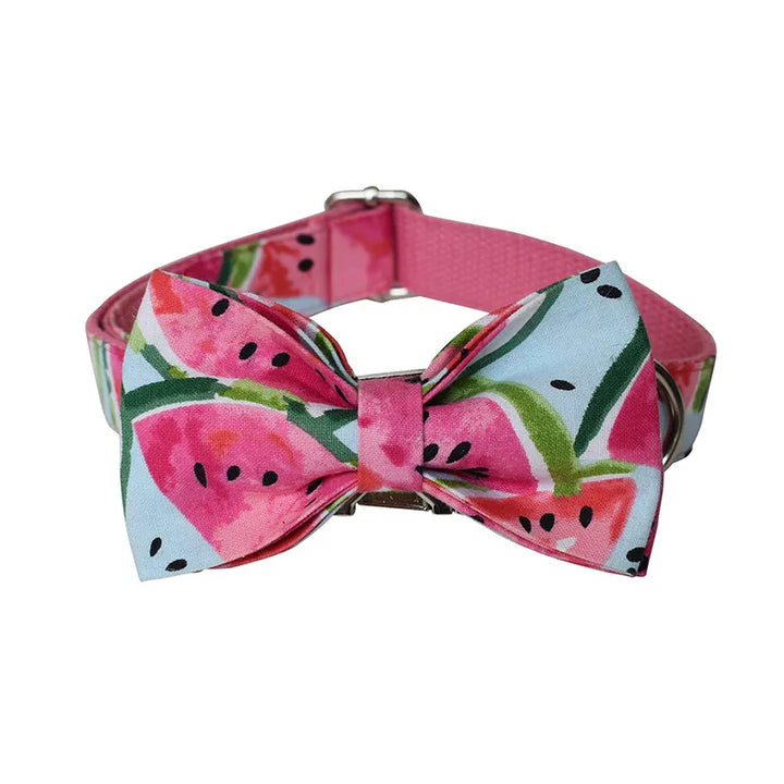 Comfortable dog collar and leash with a playful watermelon pattern, ideal for daily dog walks.