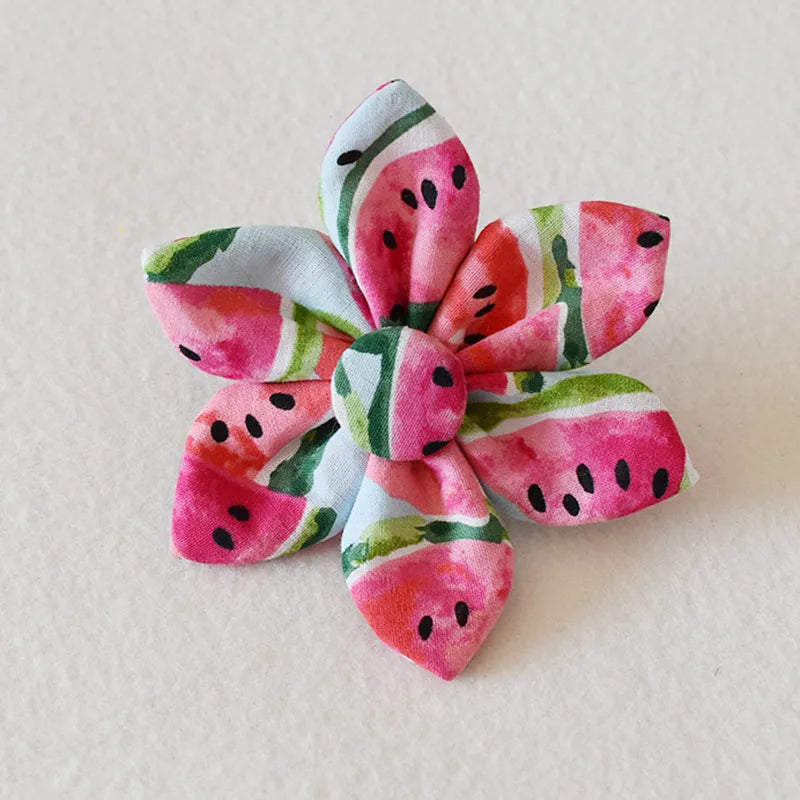 Stylish dog accessory set: watermelon-themed adjustable collar and leash with a decorative bow.