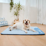 Blue - Mat