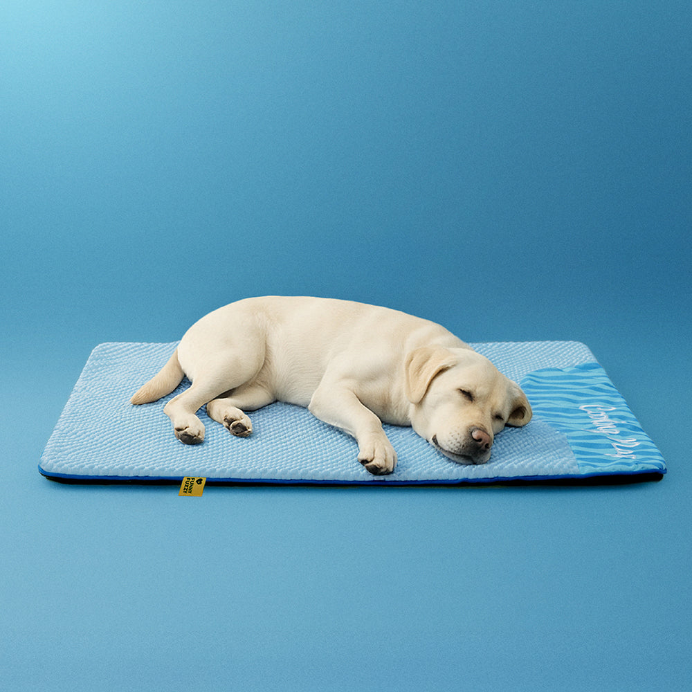 Dog cooling mat shown in a modern home setting, blending with pet accessories and decor.