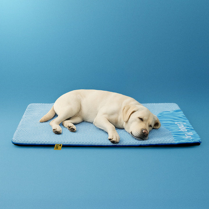 Dog cooling mat shown in a modern home setting, blending with pet accessories and decor.