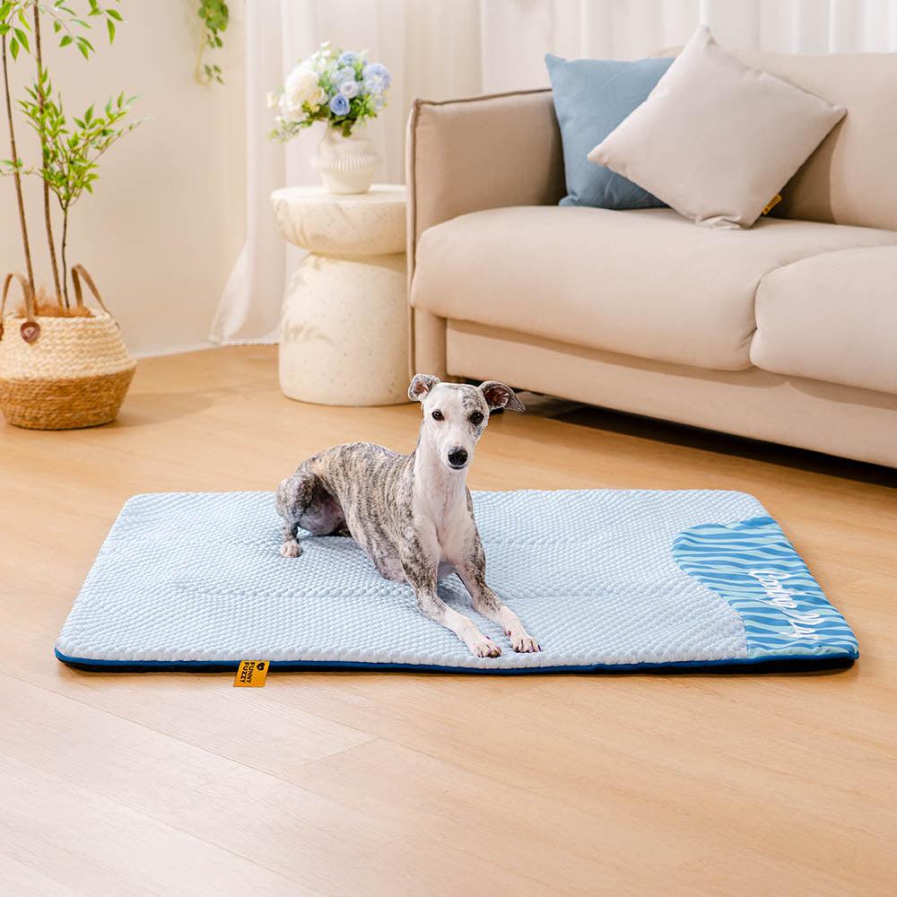 Lightweight dog cooling mat, simple to transport for outdoor adventures and summer travel.