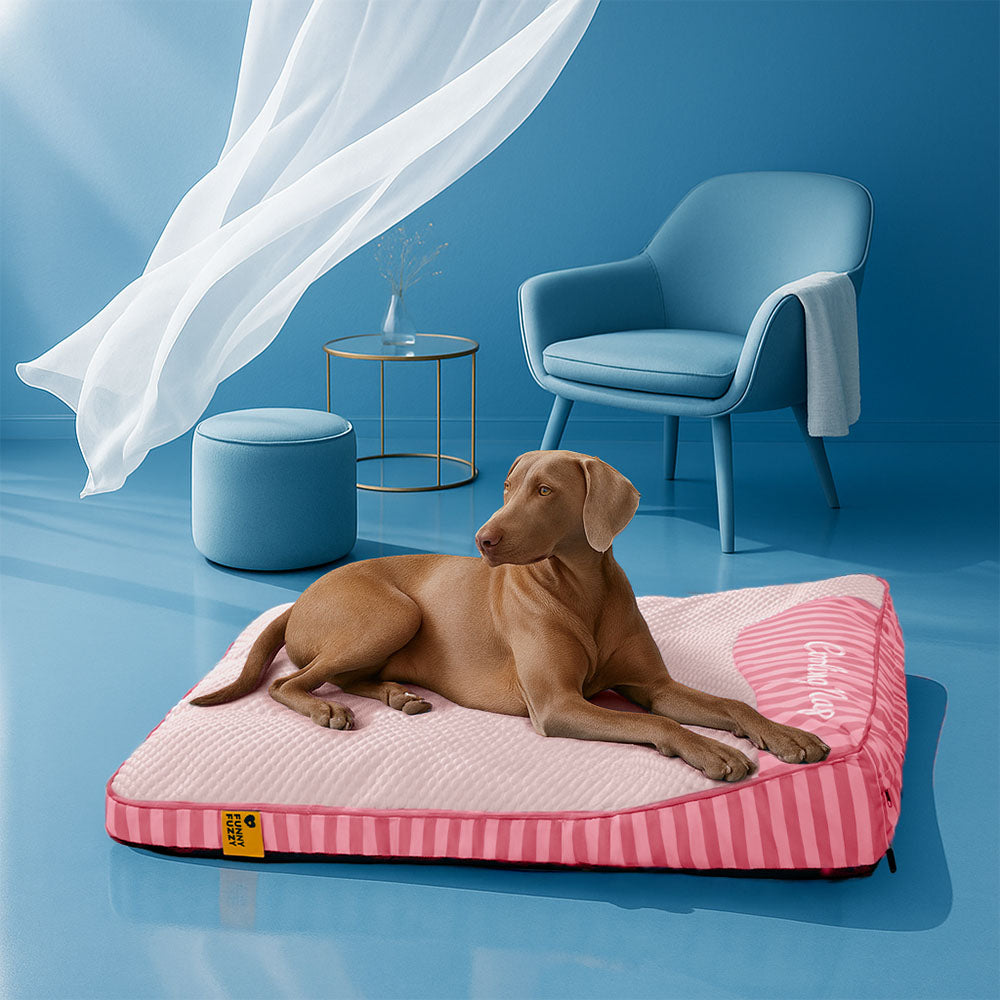 Gel-infused dog mat for cooling, providing a soothing surface for hot summer days for pets.