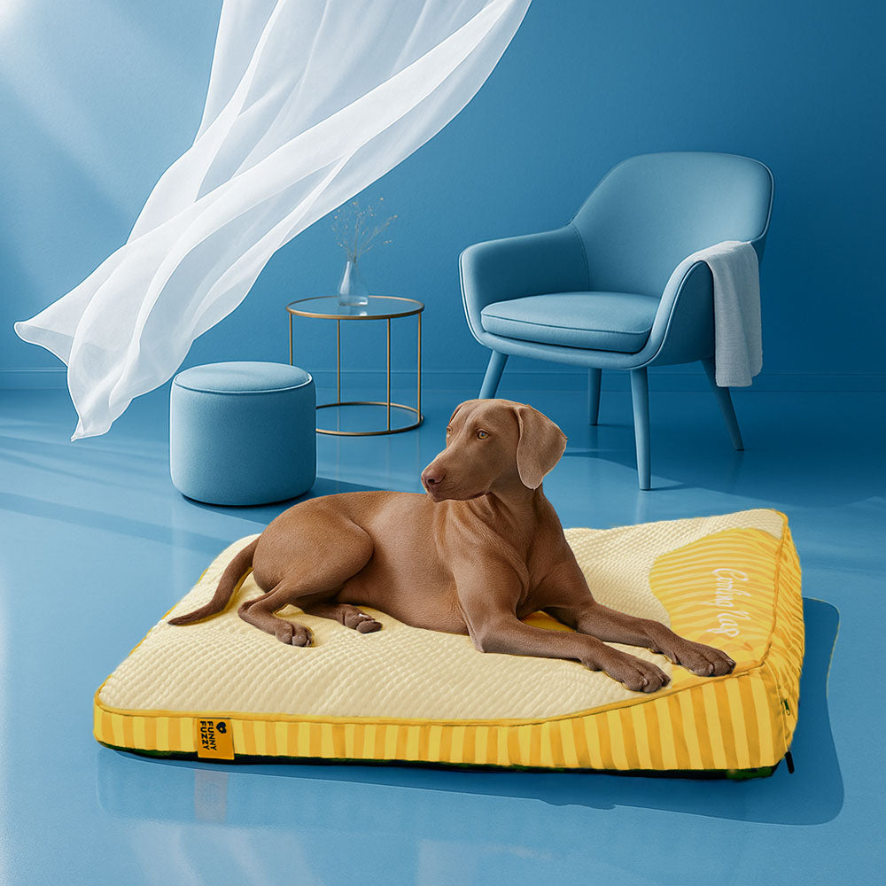 Refreshing blue dog mat, designed to keep pets cool and comfortable all summer long.