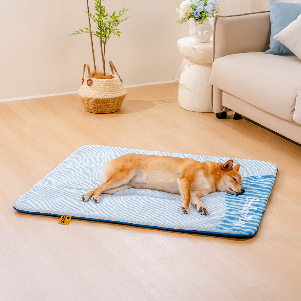 Dog relaxing on a large blue cooling mat, showcasing its effectiveness for summer relief.